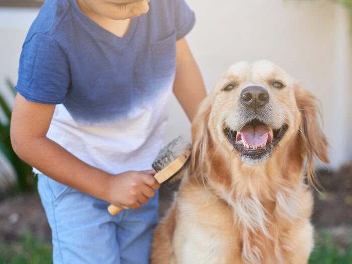 Cura degli animali domestici